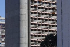 IMG_5321-1-scaled-1